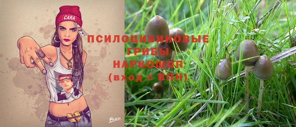 стафф Бежецк
