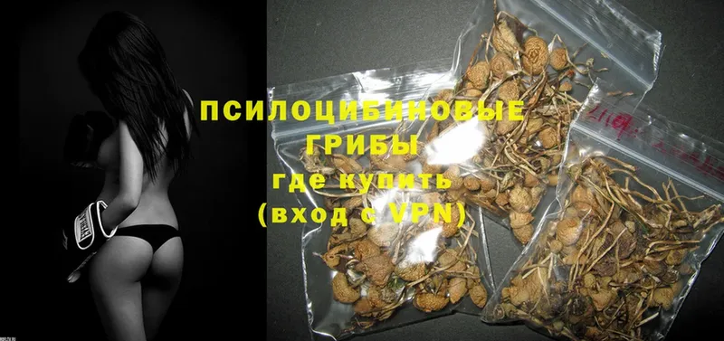 закладки  Кызыл  Галлюциногенные грибы MAGIC MUSHROOMS 