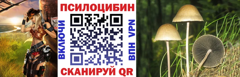 Псилоцибиновые грибы прущие грибы  что такое наркотик  это какой сайт  Кызыл 