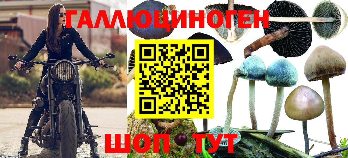 Галлюциногенные грибы ЛСД Кызыл