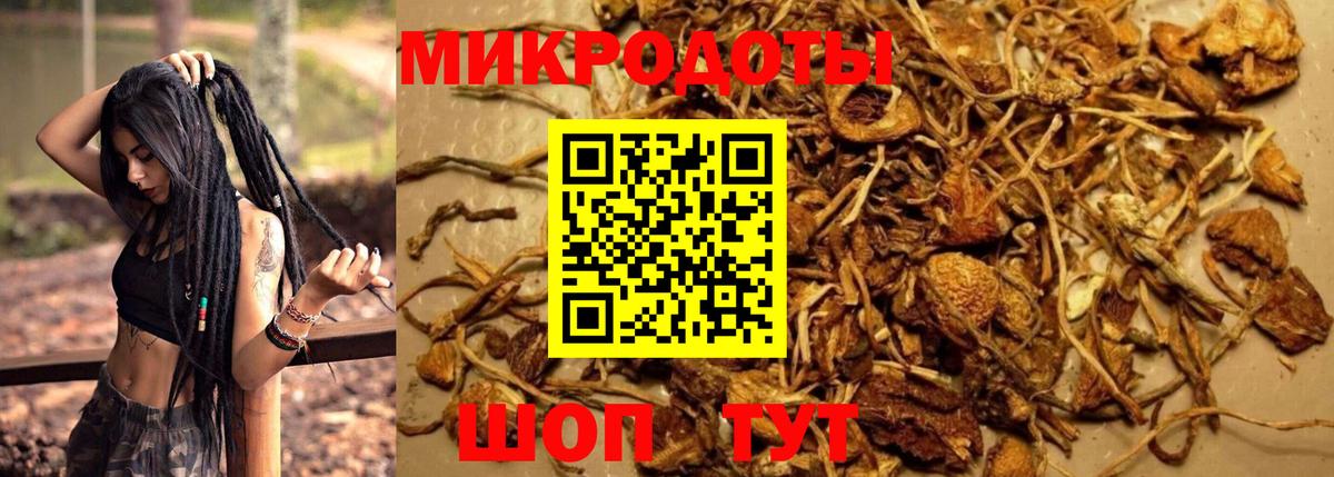дарнет шоп  Псилоцибиновые грибы MAGIC MUSHROOMS  Галлюциногенные грибы Cubensis  Вход с VPN  Кызыл 