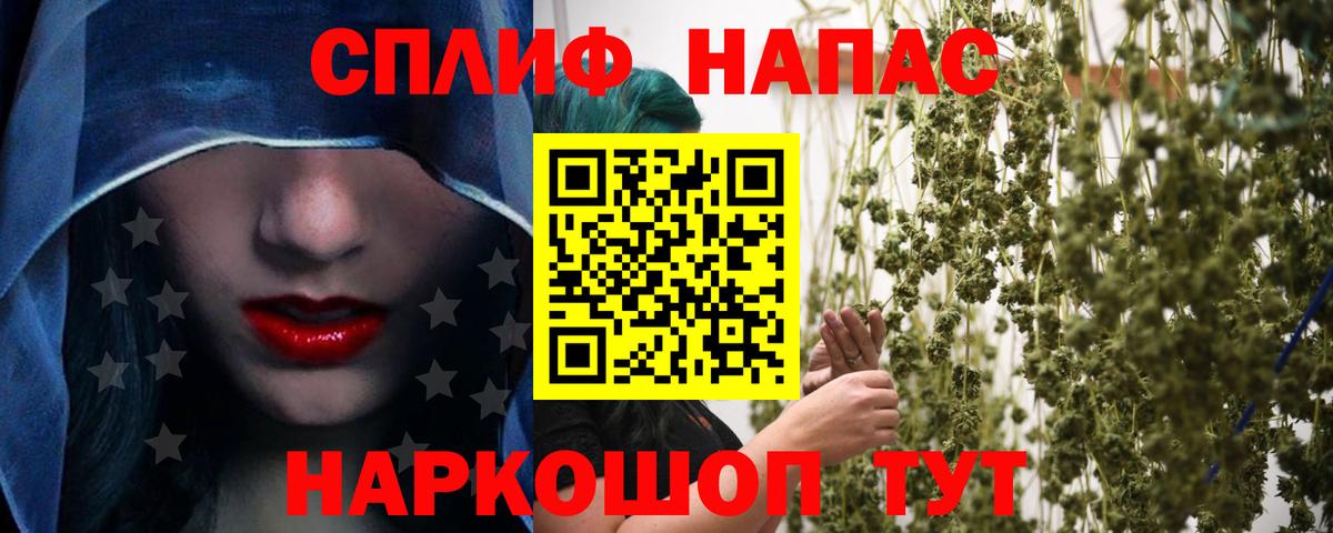 Канабис конопля Кызыл